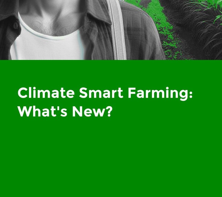 Climate Smart Agriculture: A promising way to a resilient agricultural system